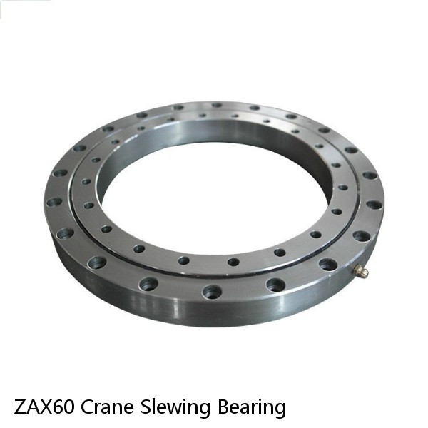 ZAX60 Crane Slewing Bearing #1 image