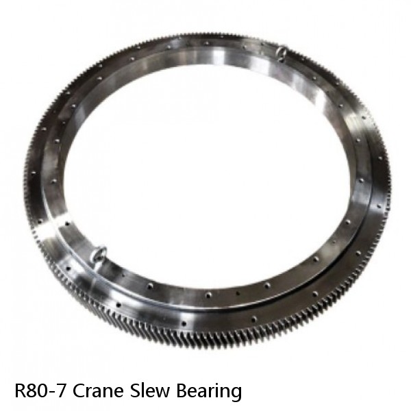 R80-7 Crane Slew Bearing #1 image