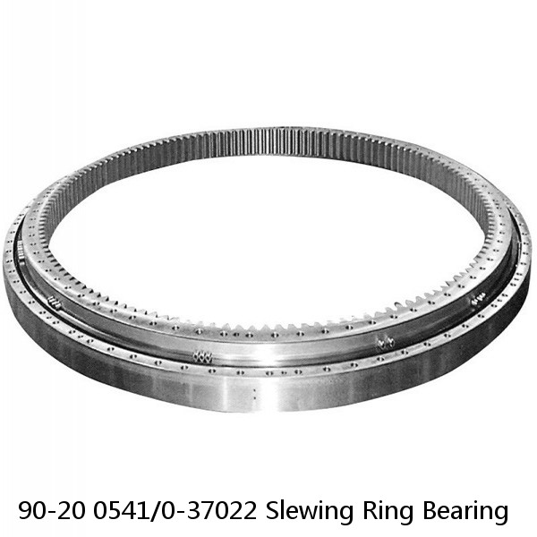 90-20 0541/0-37022 Slewing Ring Bearing #1 image
