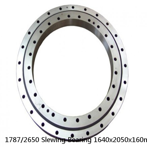 1787/2650 Slewing Bearing 1640x2050x160mm #1 image