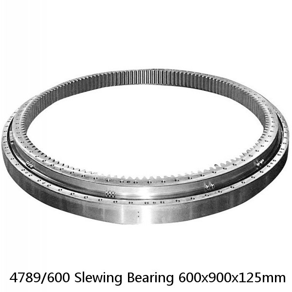4789/600 Slewing Bearing 600x900x125mm #1 image