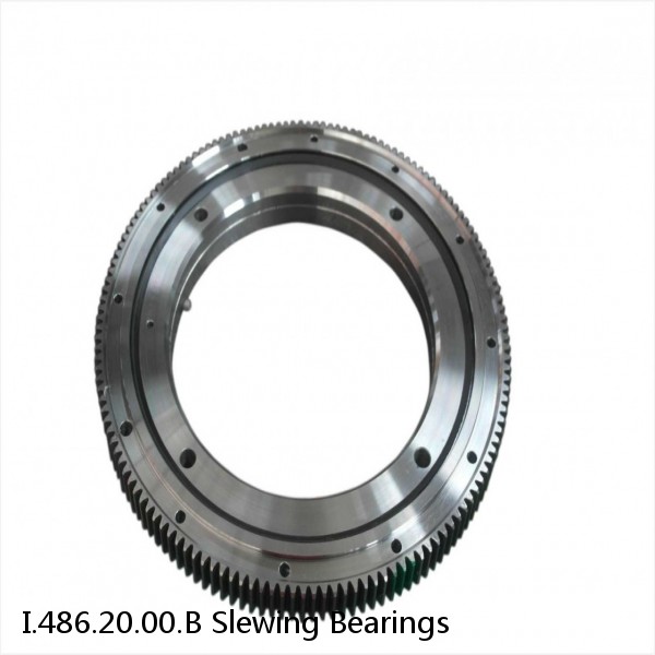 I.486.20.00.B Slewing Bearings #1 image