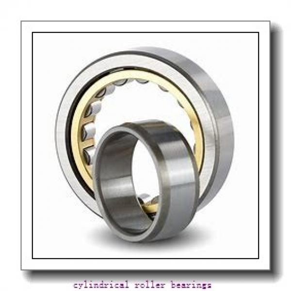 FAG NU310-E-M1  Cylindrical Roller Bearings #2 image