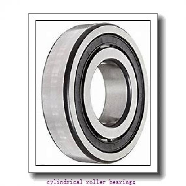 0.787 Inch | 20 Millimeter x 1.85 Inch | 47 Millimeter x 0.551 Inch | 14 Millimeter  NSK NU204W  Cylindrical Roller Bearings #1 image