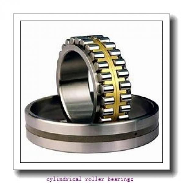 110 mm x 200 mm x 38 mm  FAG NJ222-E-TVP2  Cylindrical Roller Bearings #1 image
