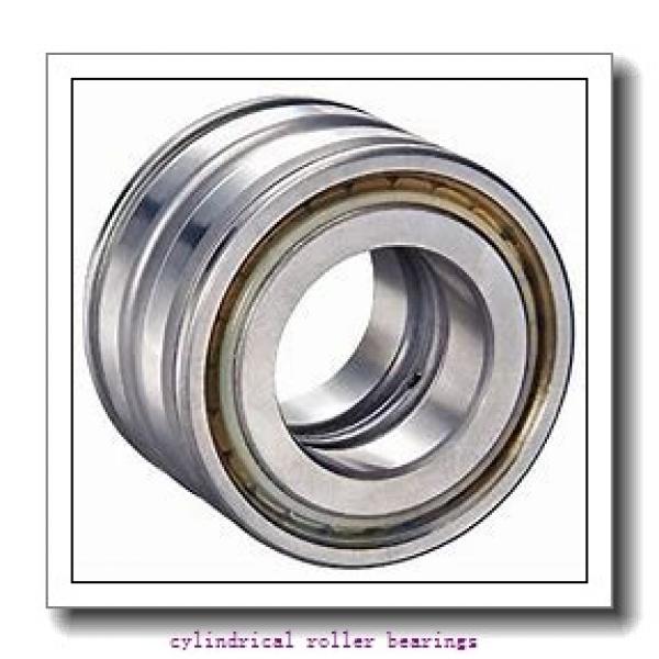 105 mm x 190 mm x 36 mm  FAG NJ221-E-TVP2  Cylindrical Roller Bearings #1 image