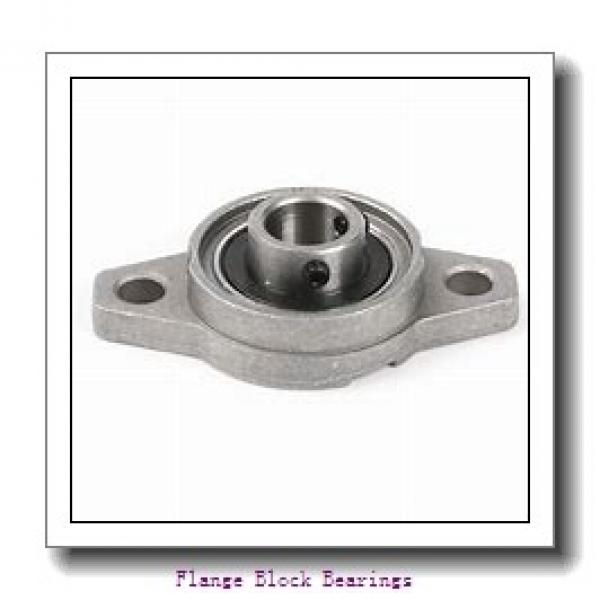 QM INDUSTRIES QVFLP19V303SC  Flange Block Bearings #1 image